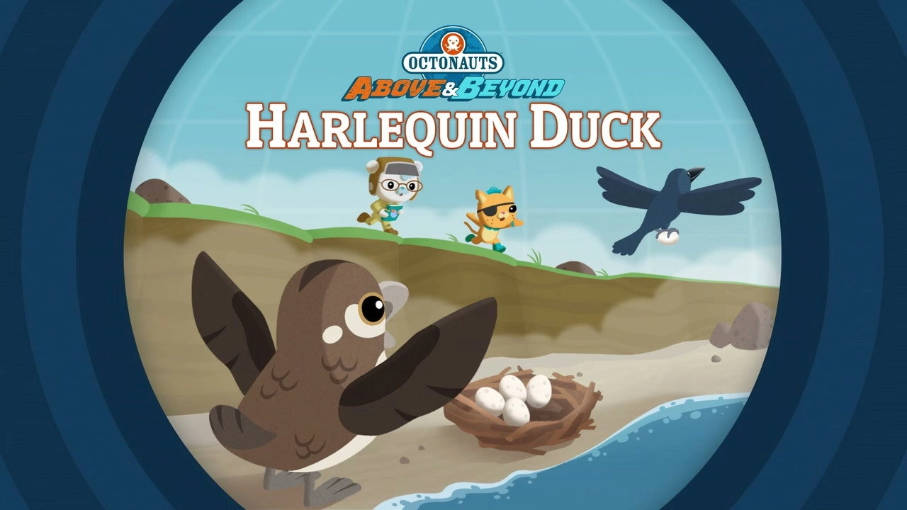 Octonauts: Above & Beyond