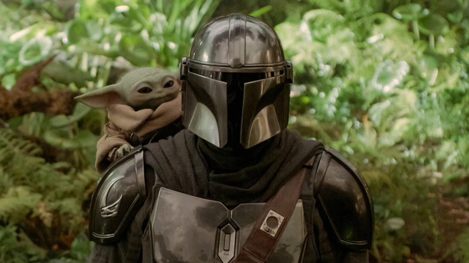 The Mandalorian and Grogu