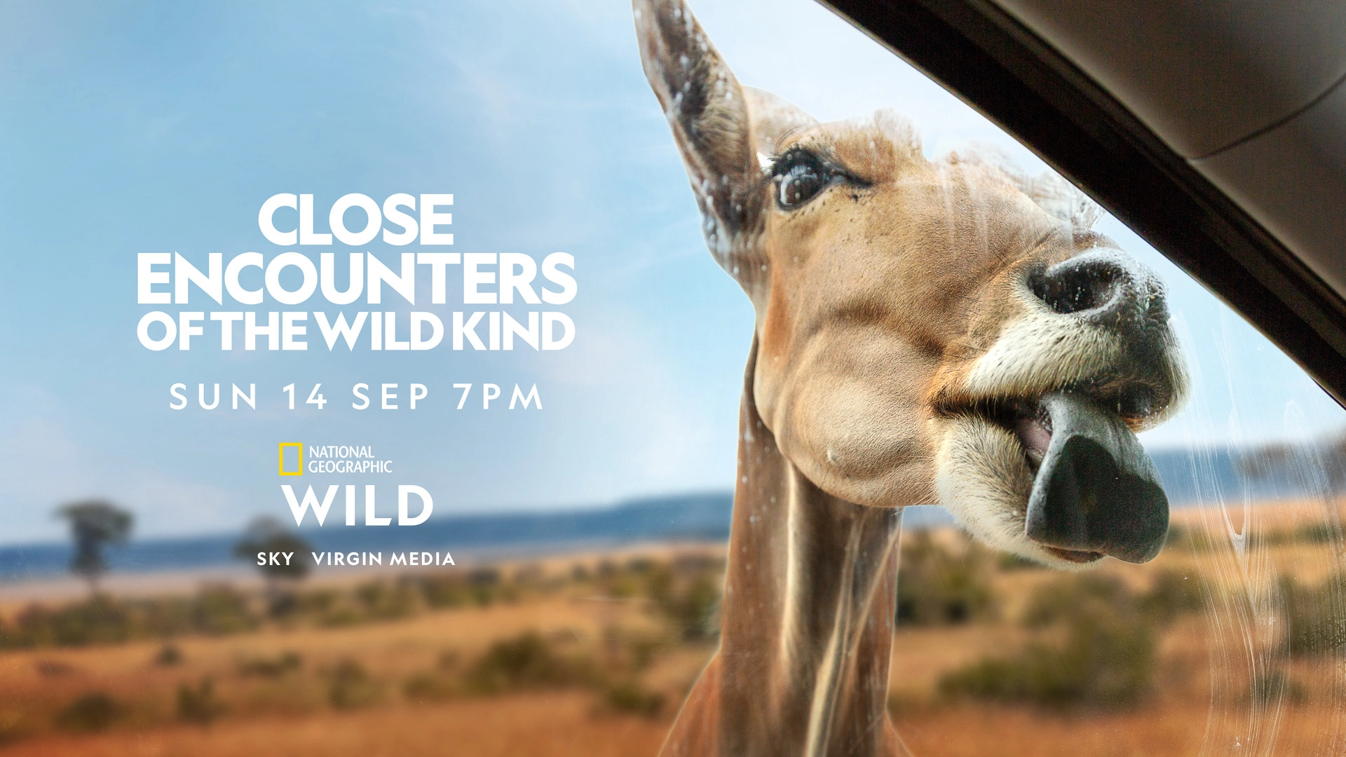 Close Encounters of the Wild Kind