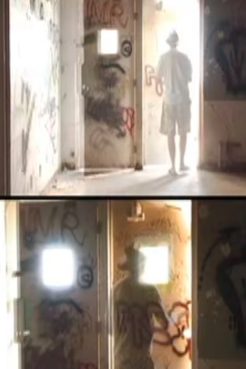TISM: Incontinent in Ten Continents