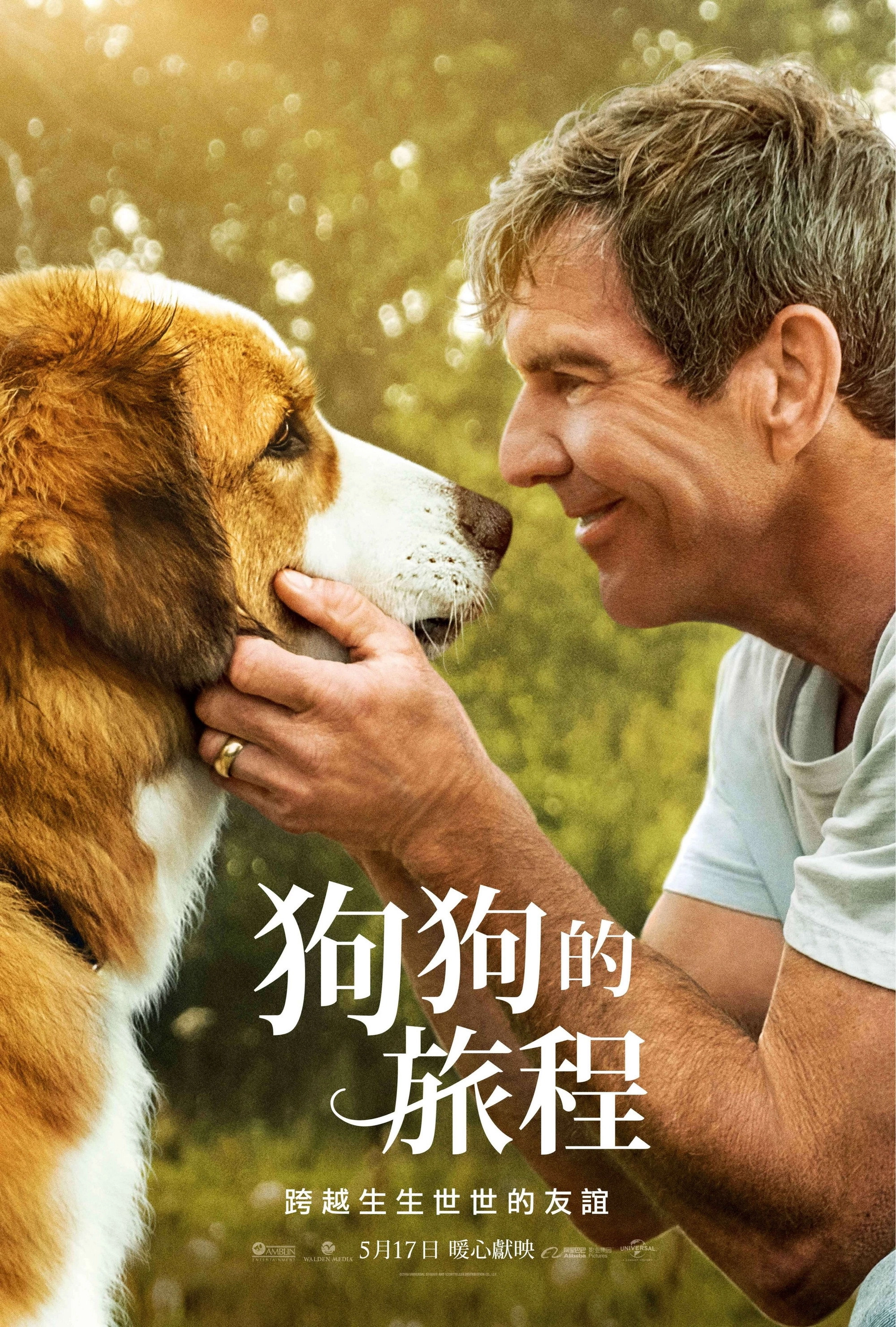 A Dog's Journey