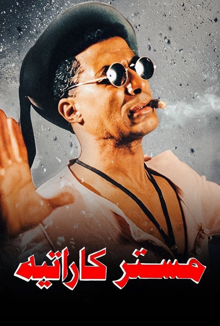 Mr. Karate