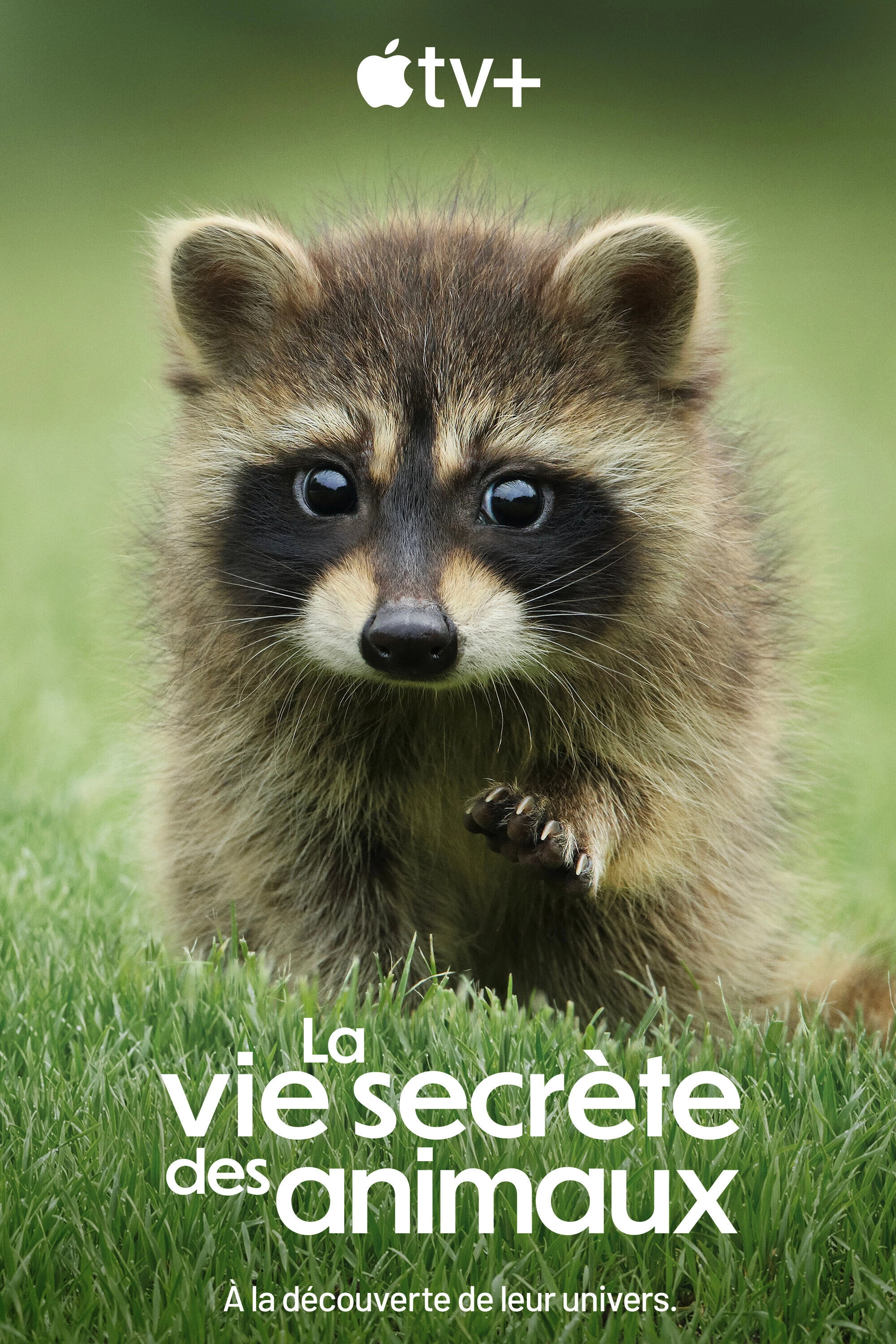 The Secret Lives of Animals