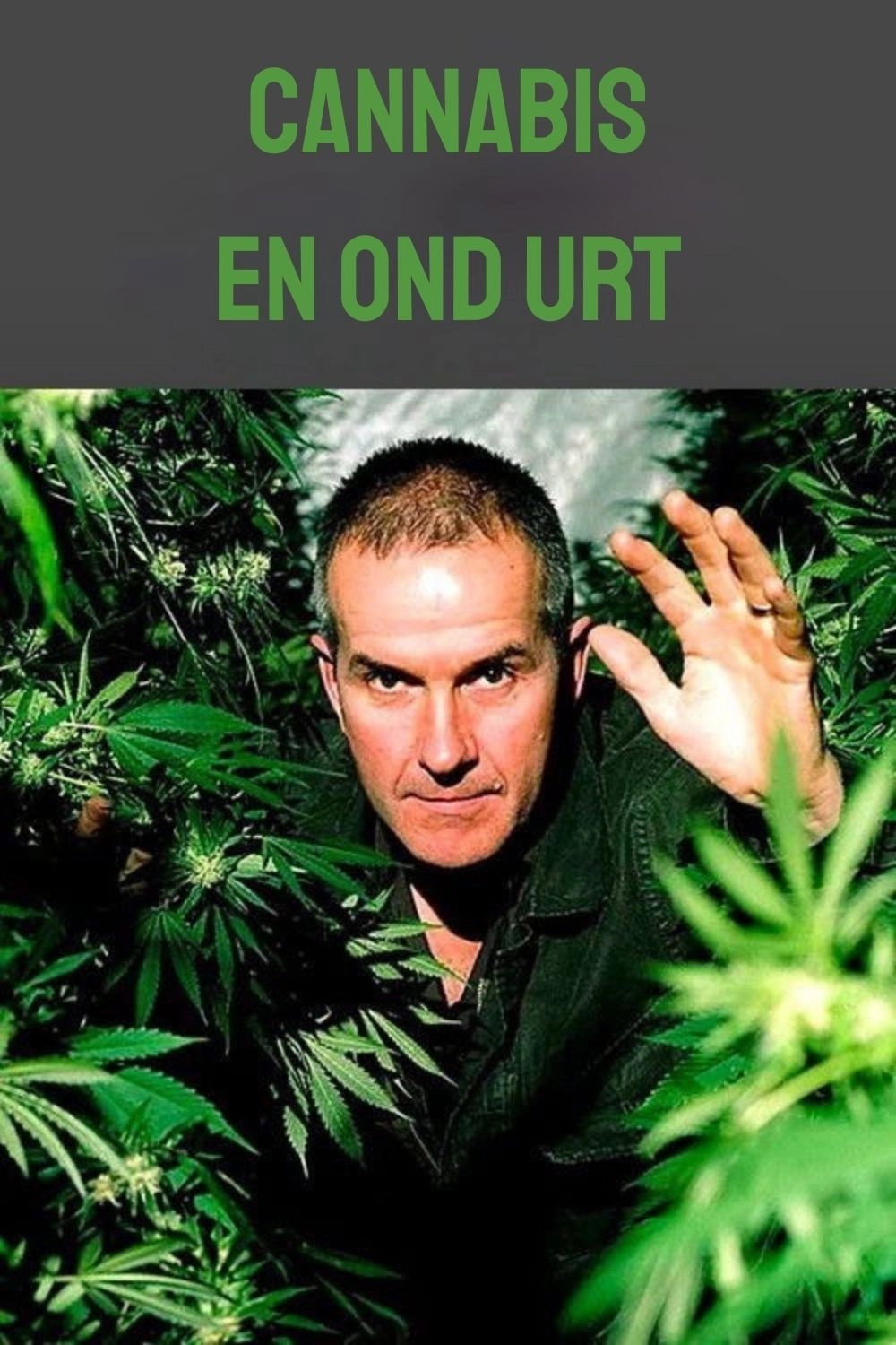 Cannabis: The Evil Weed?