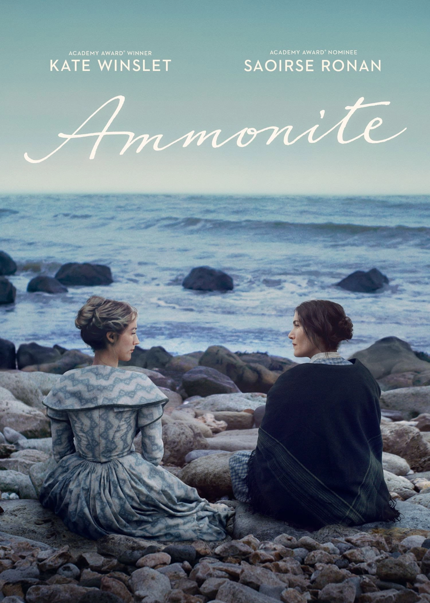 Ammonite
