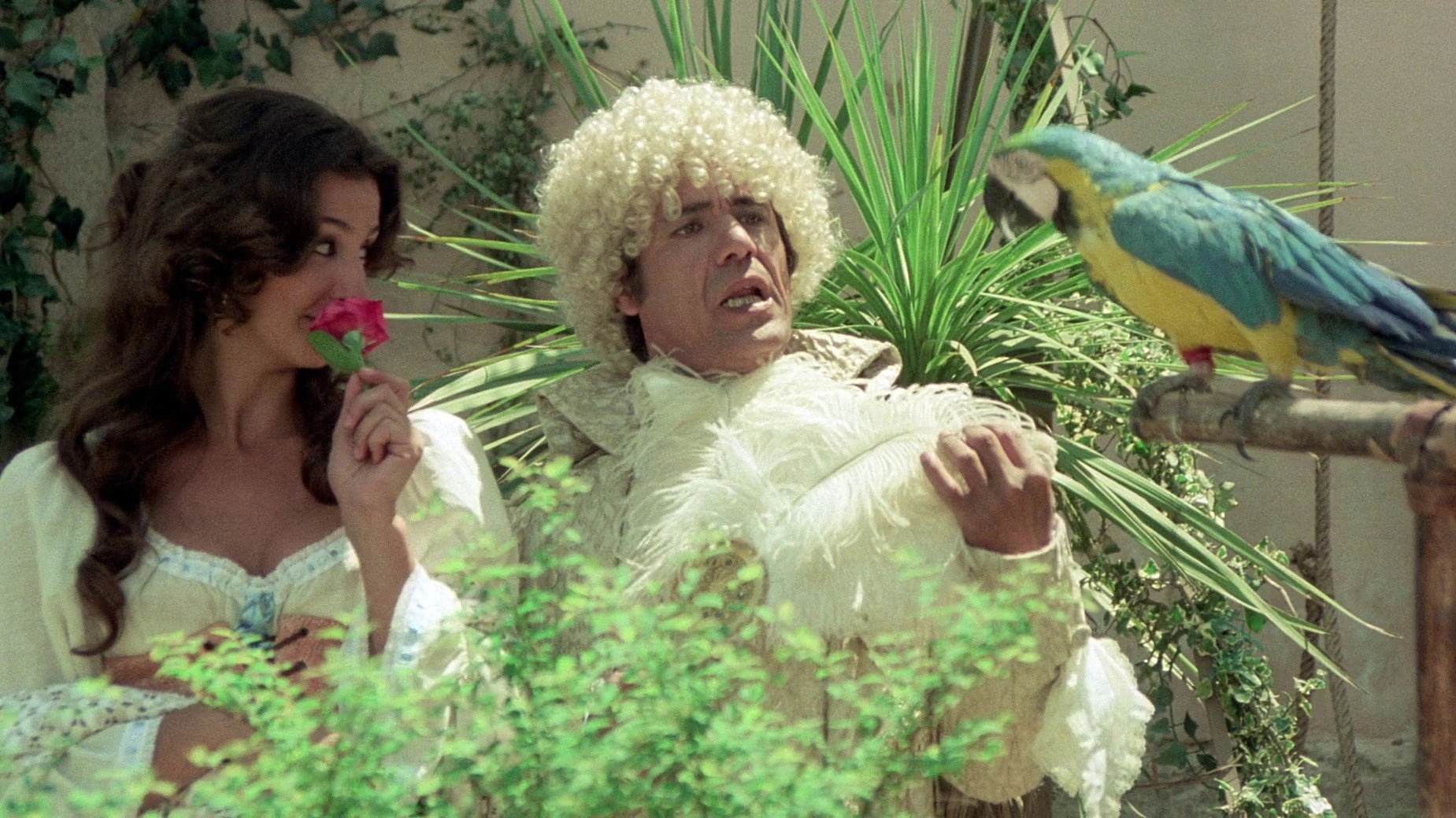 Dream of Zorro
