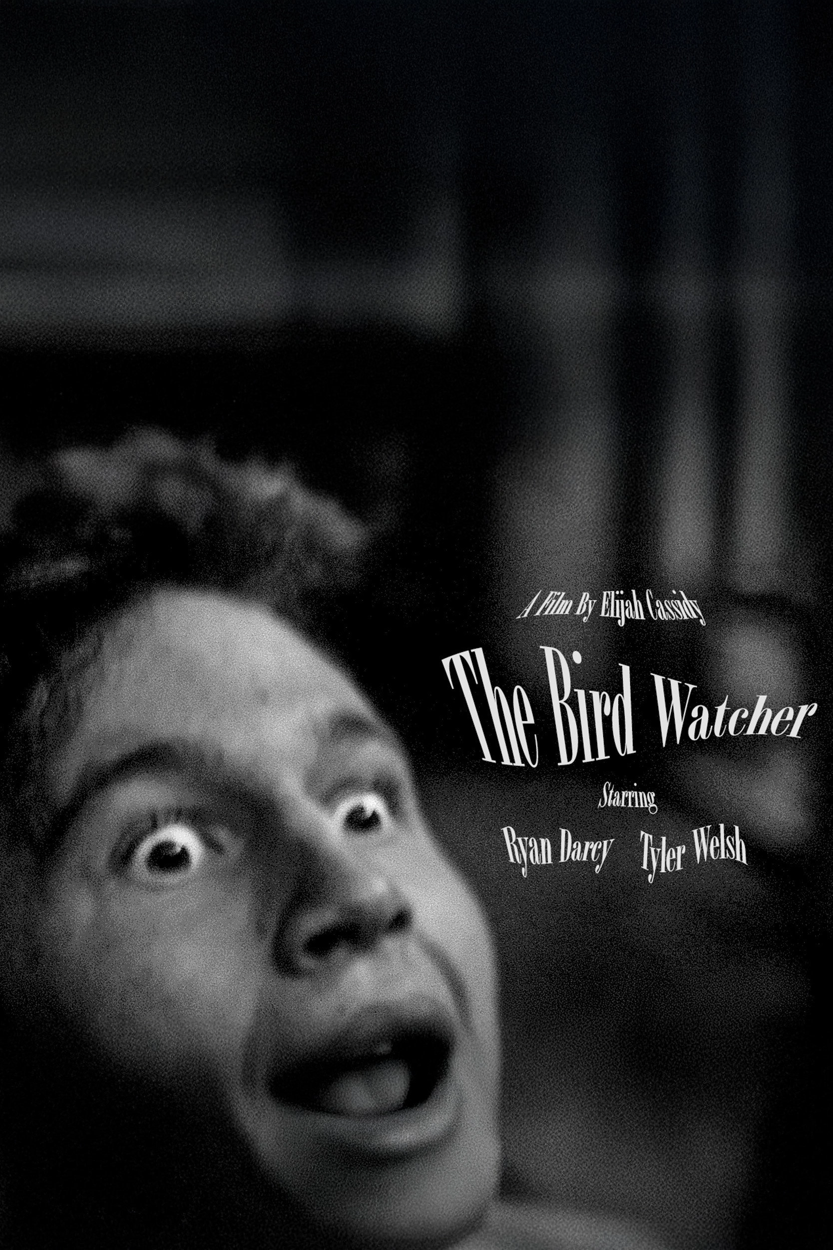 The Bird Watcher