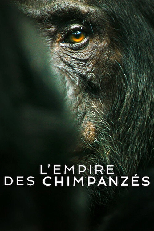 Chimp Empire