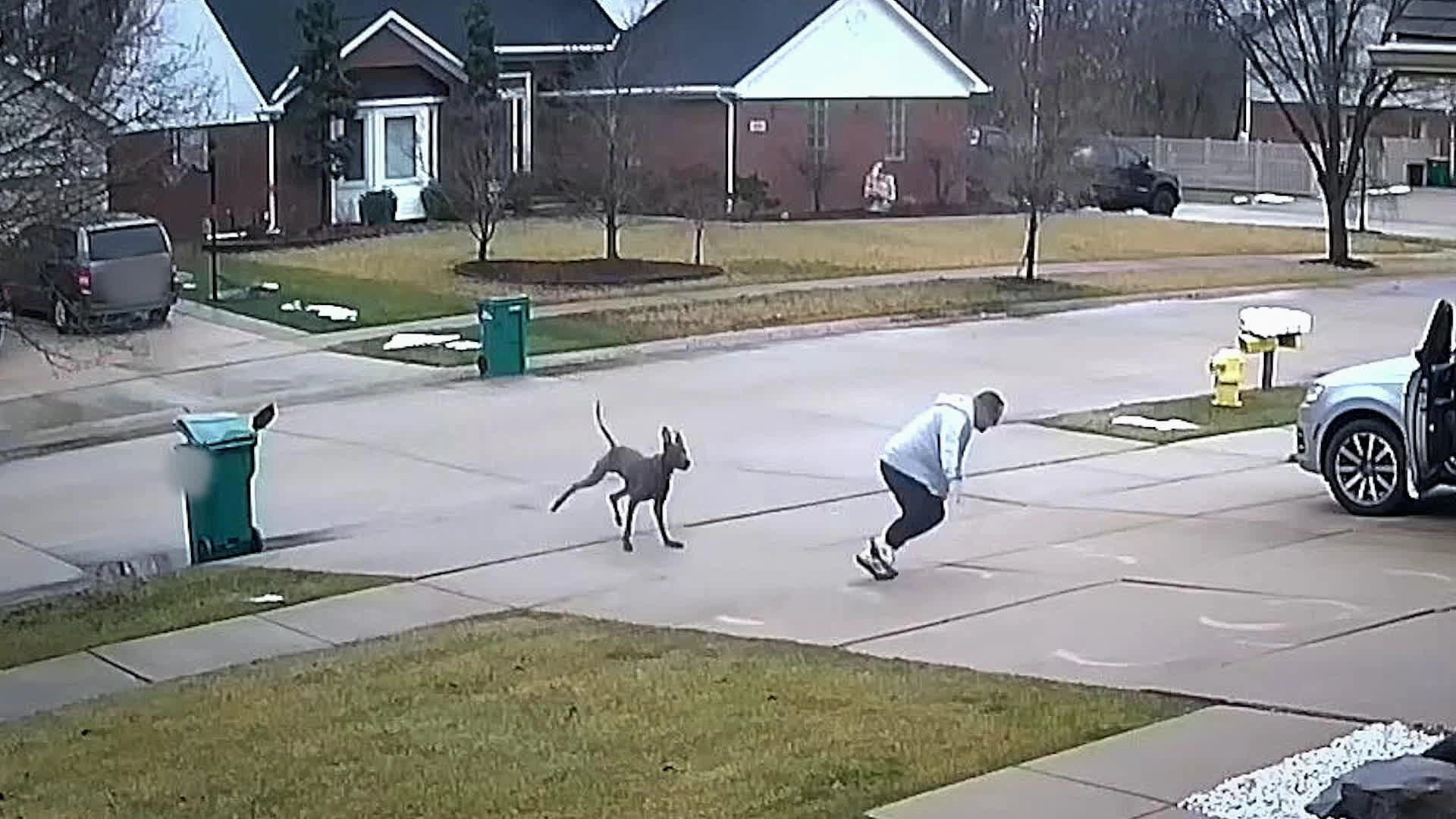 Neighborhood Wars