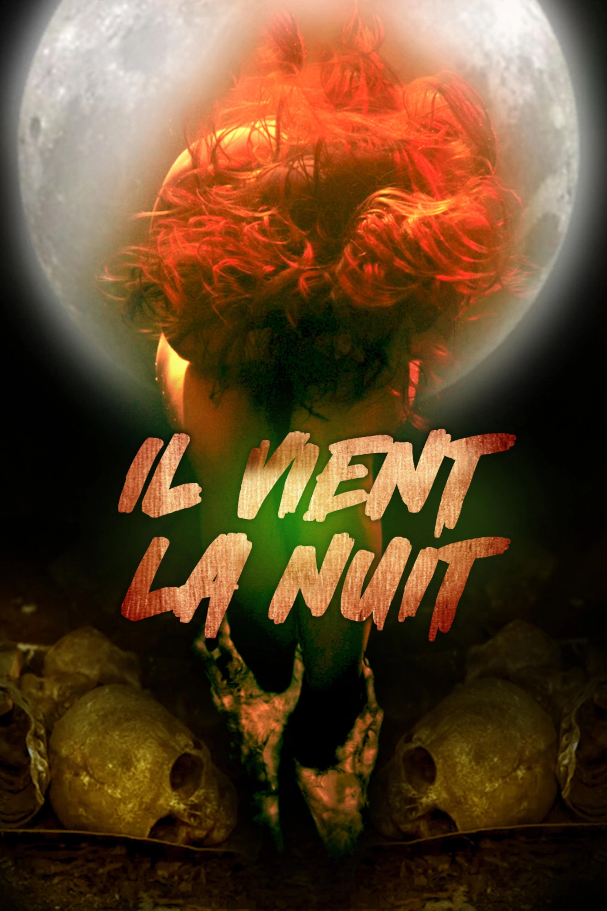 In the Light of the Night