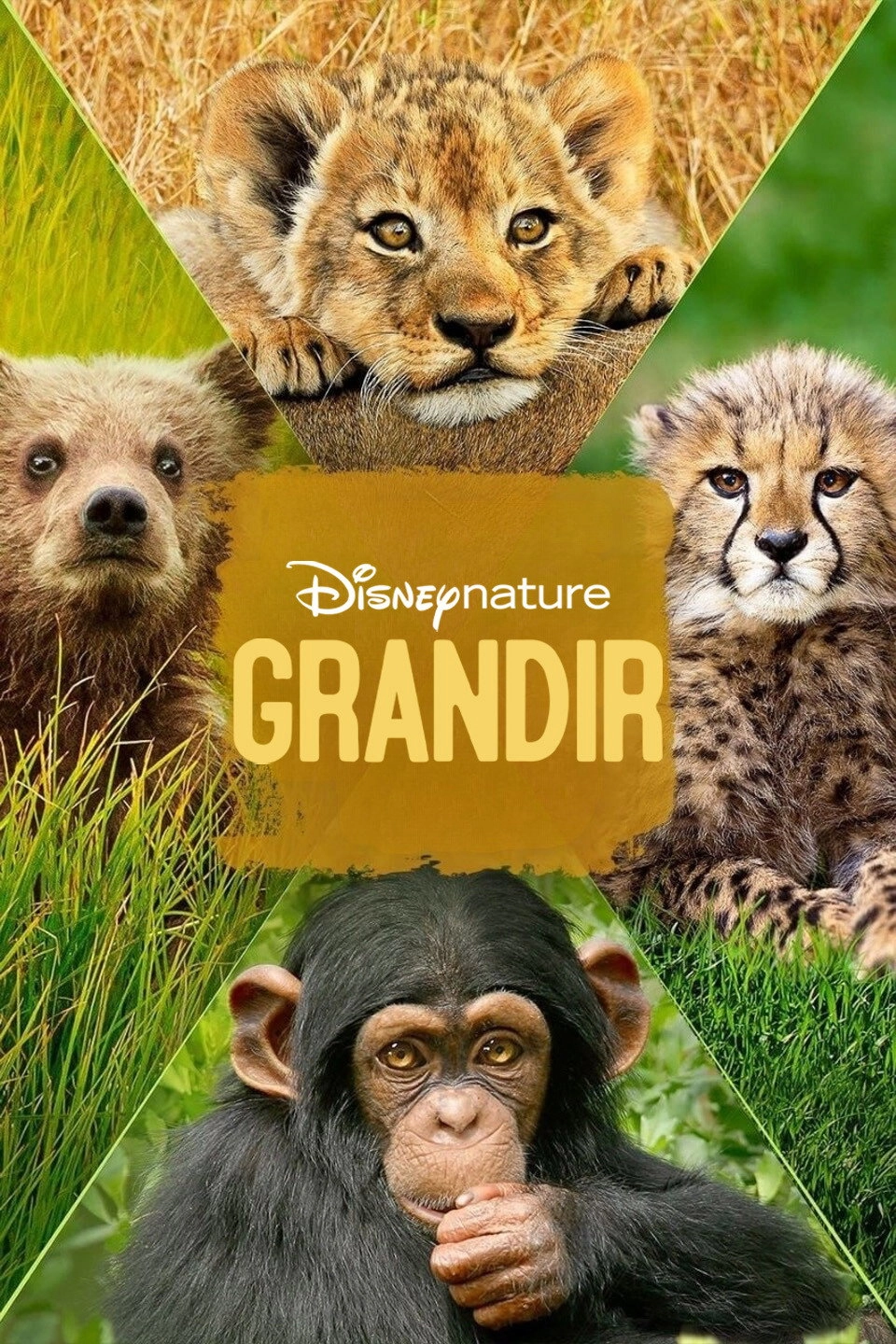 Growing Up Wild
