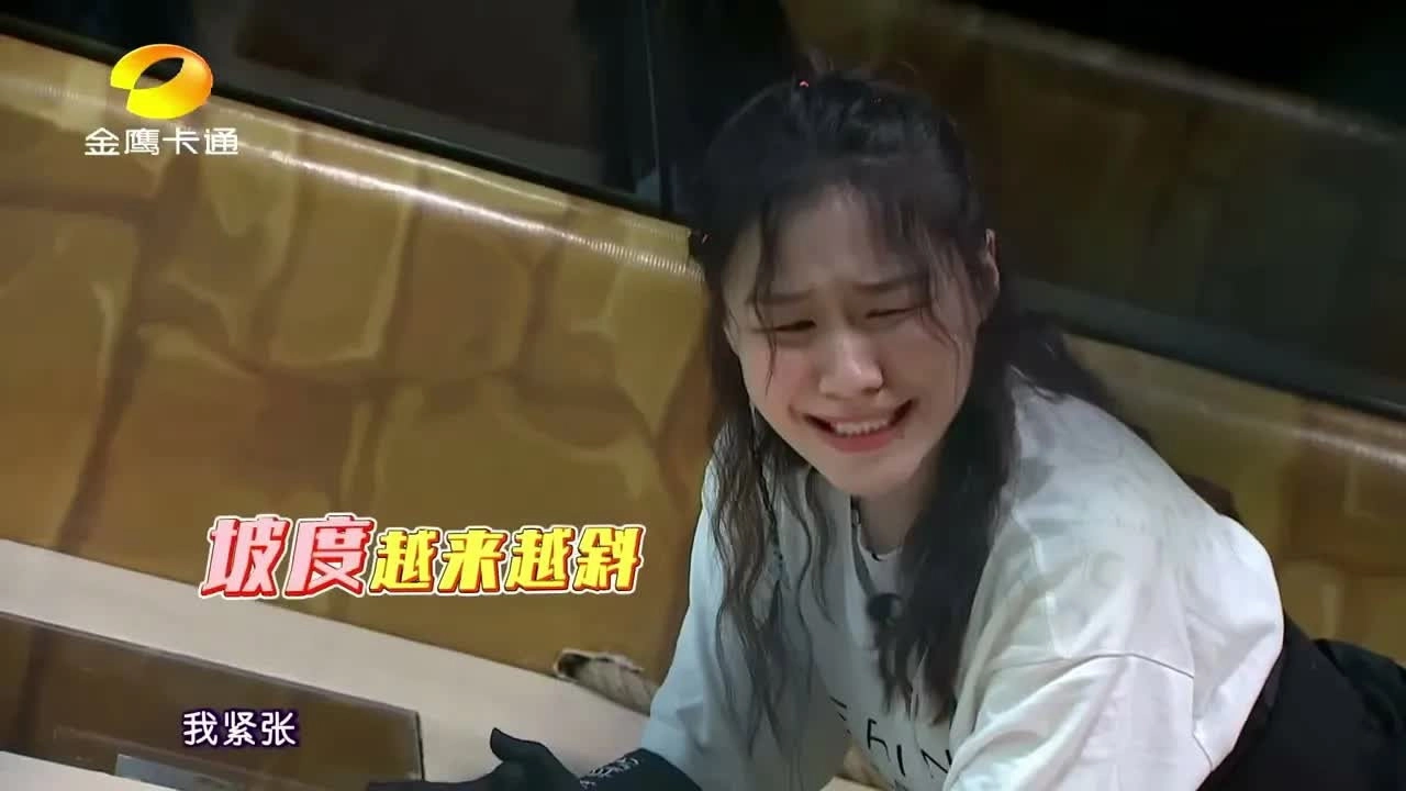疯狂的麦咭