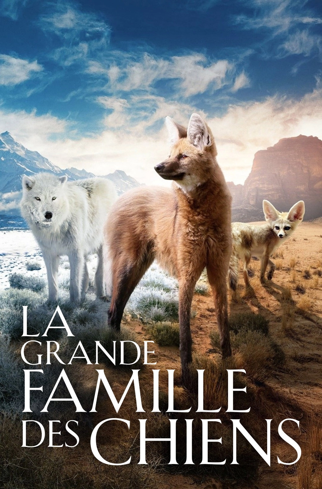 Dogs in the Wild: Meet the Family
