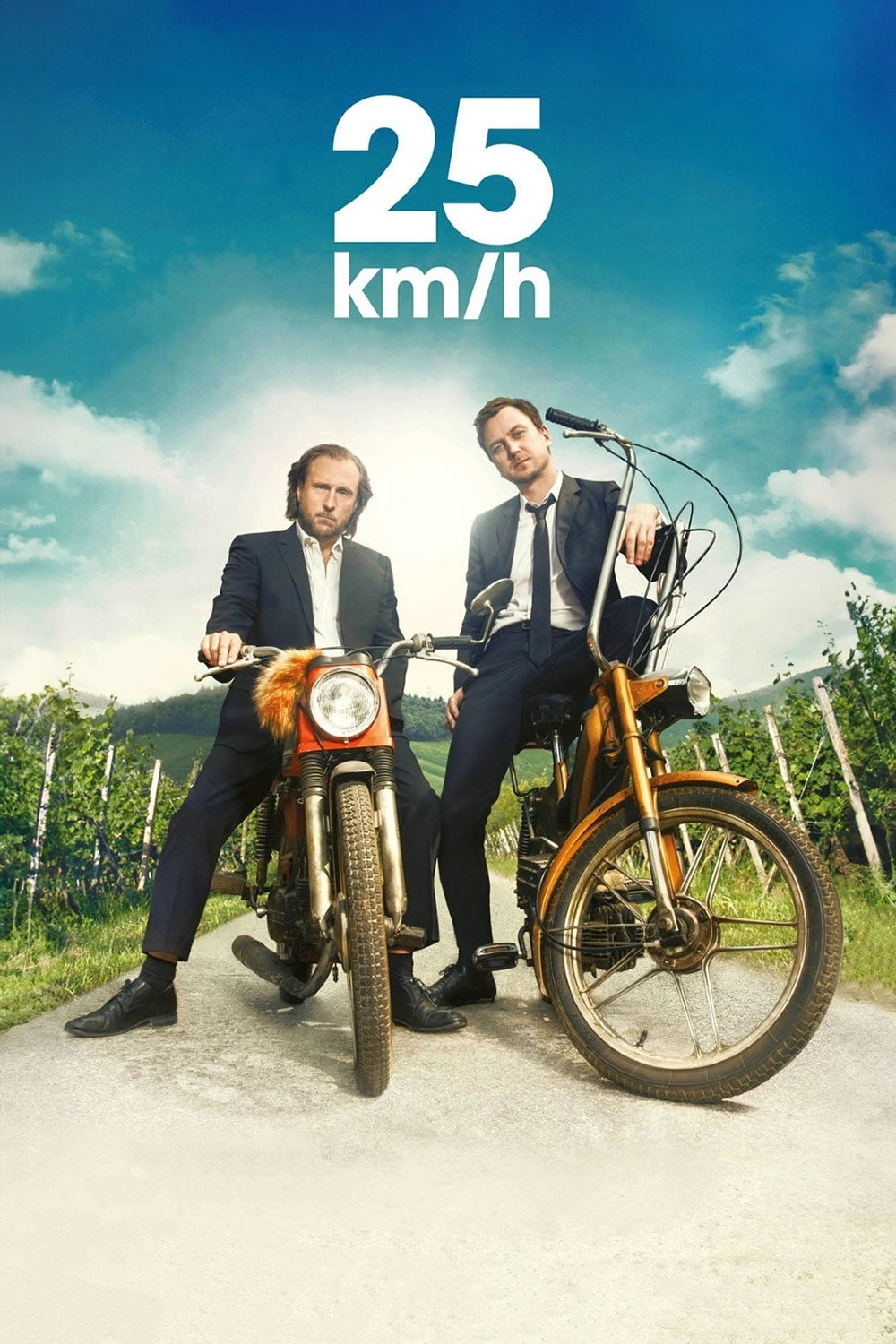 25 km/h