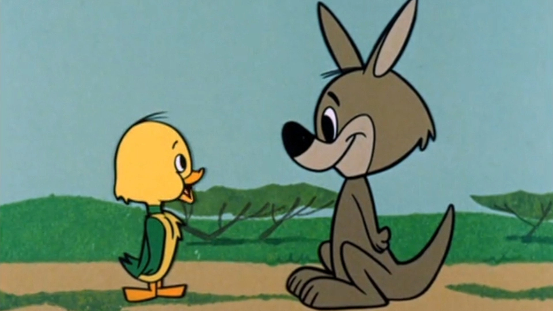 The Yogi Bear Show
