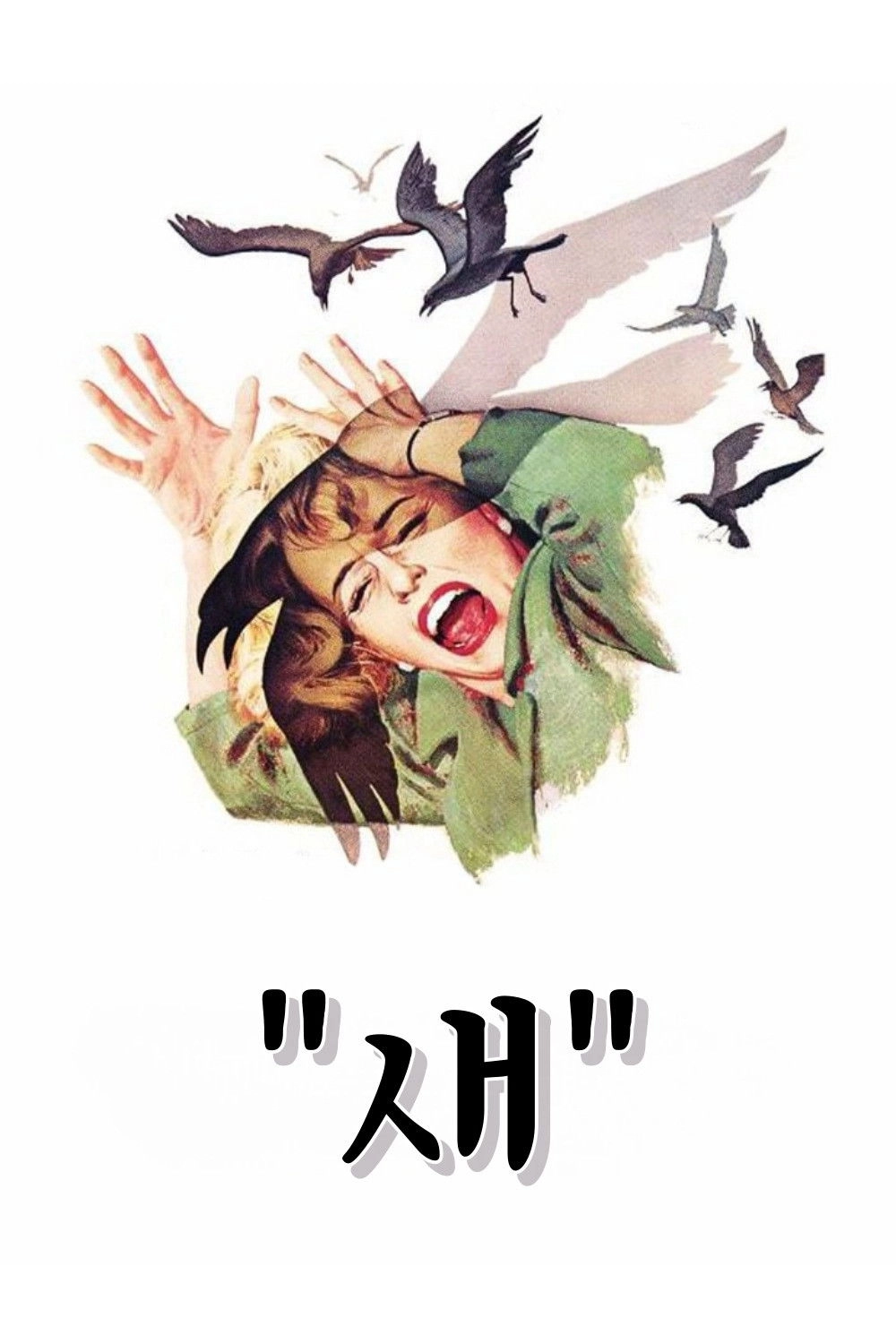 The Birds