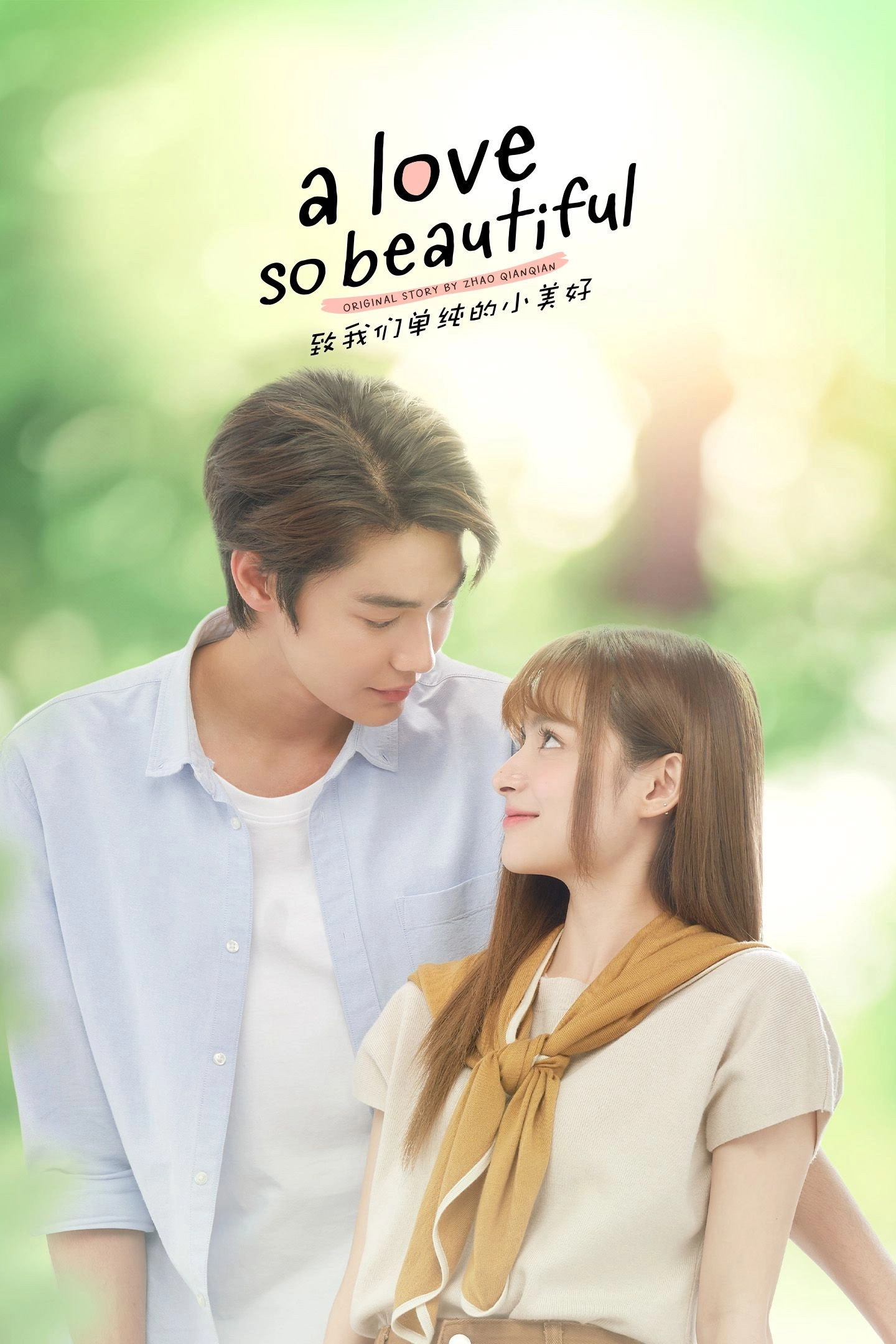 A Love So Beautiful