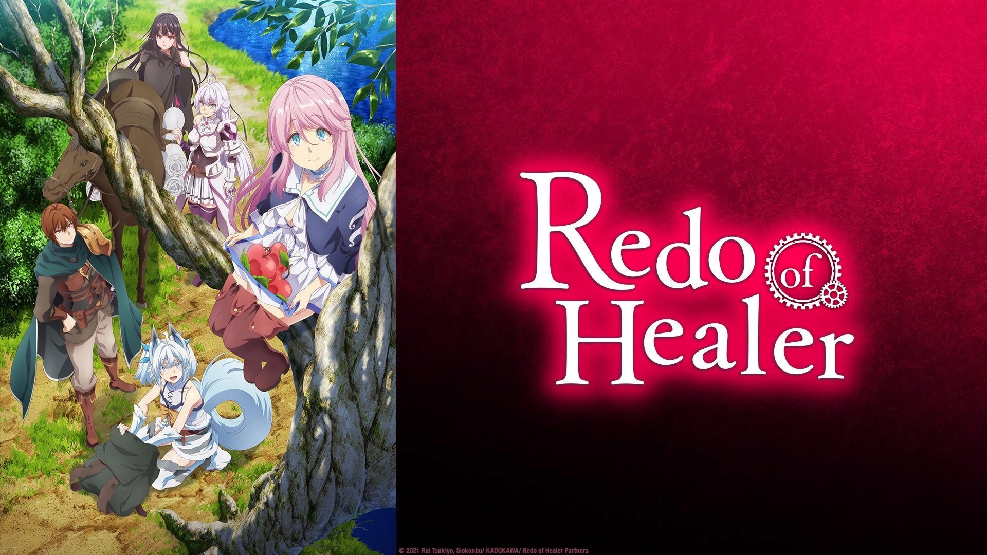 Redo of Healer