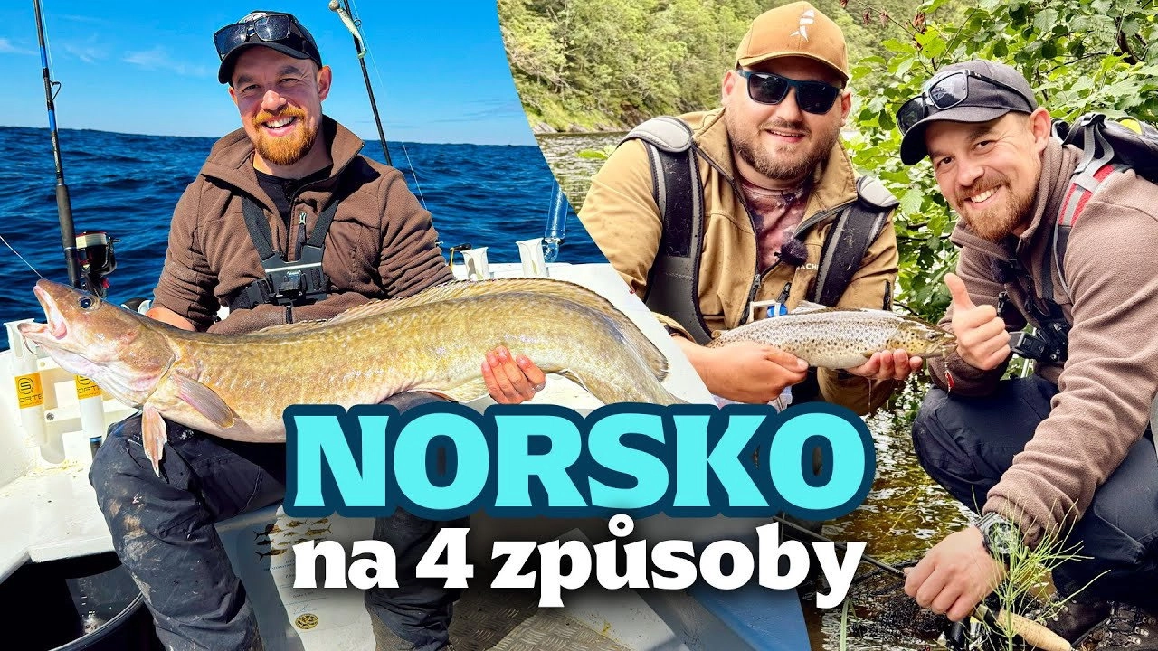 Rybománie