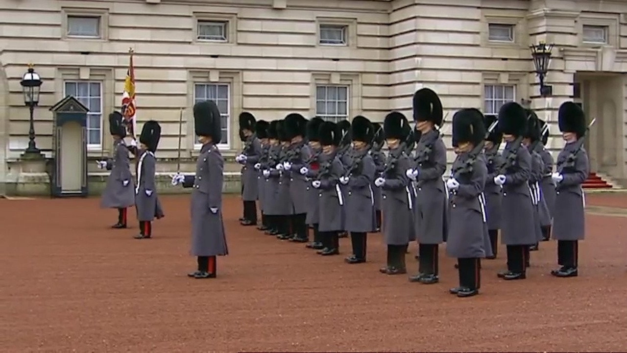Guarding The Queen