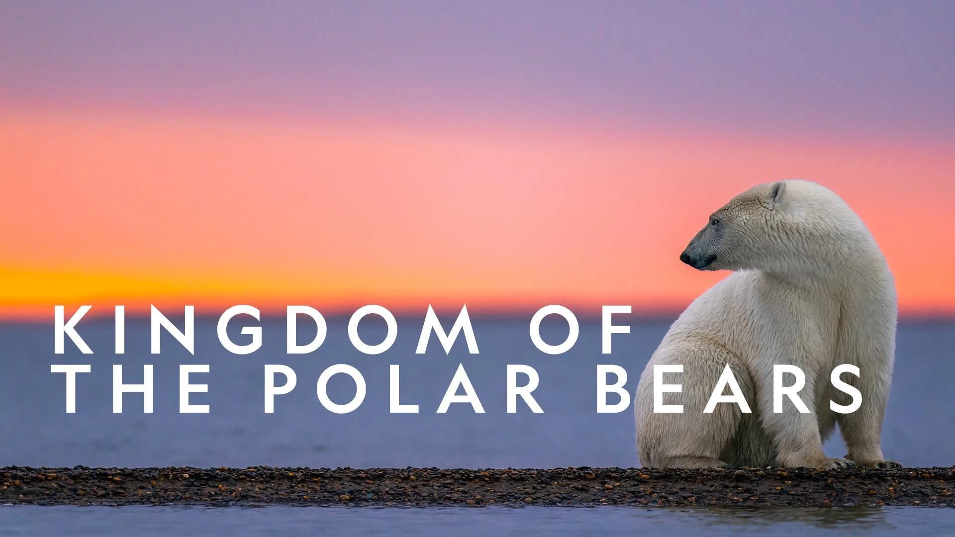 Kingdom of the Polar Bears