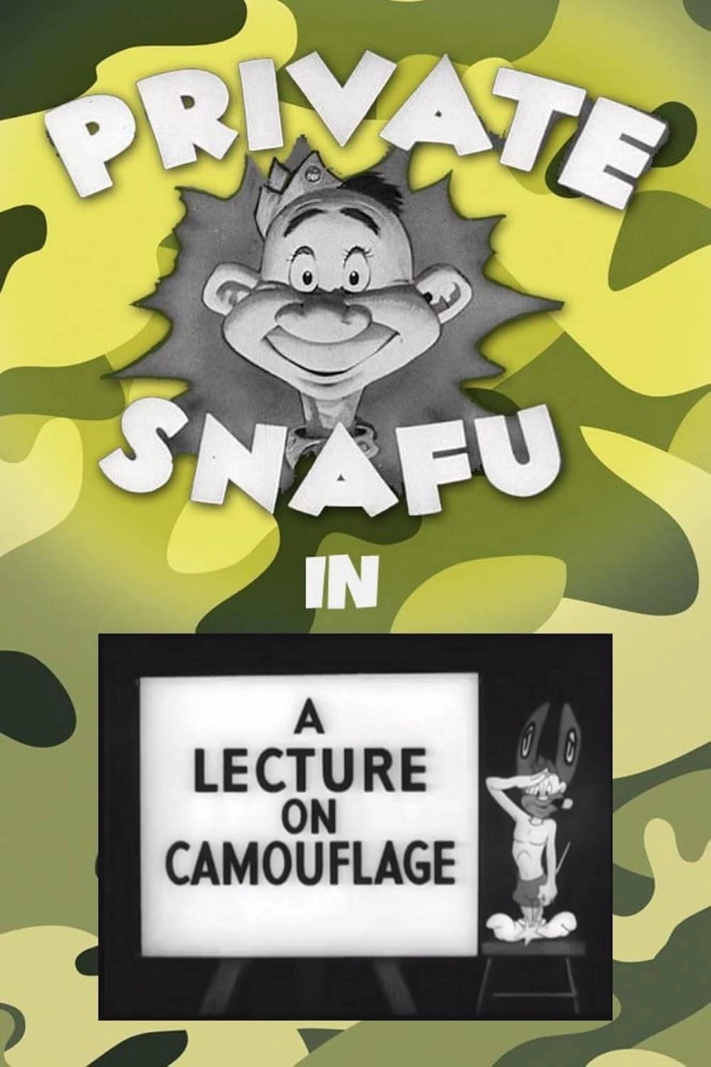 A Lecture on Camouflage