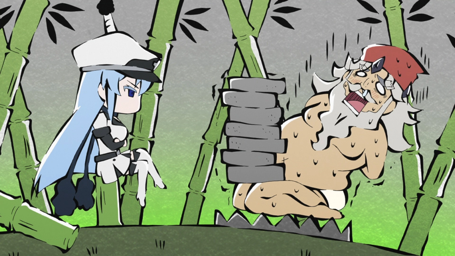 Akame ga Kill!