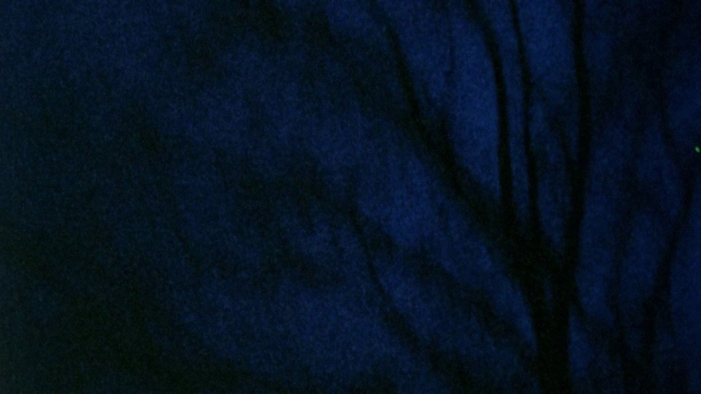 Anticipation of the Night