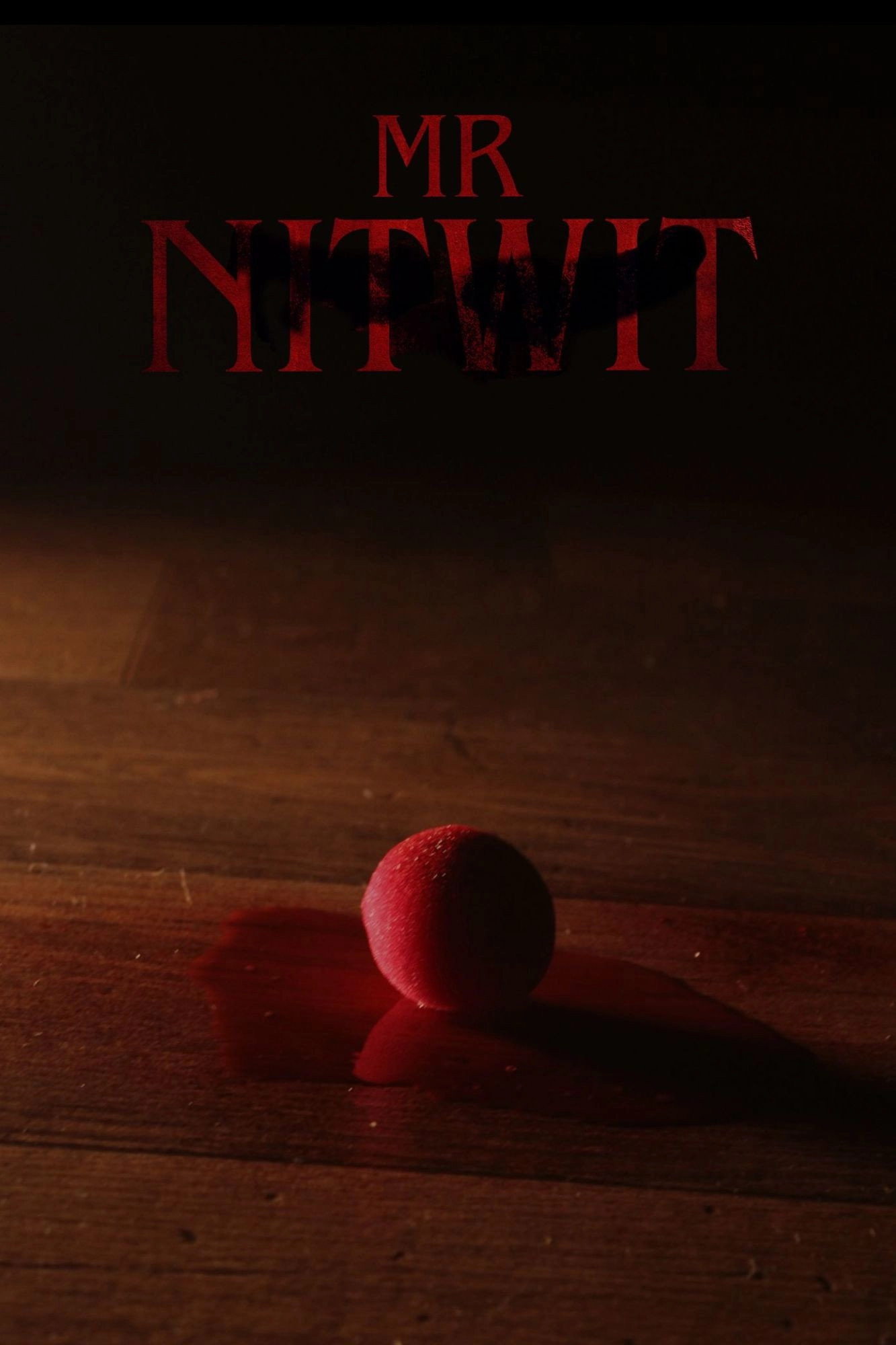 Mr Nitwit