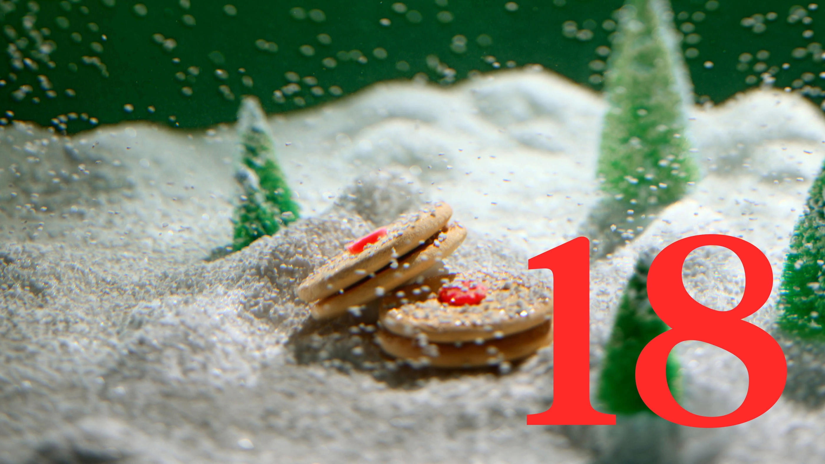 Last X-mas - 24 Tage für die Liebe