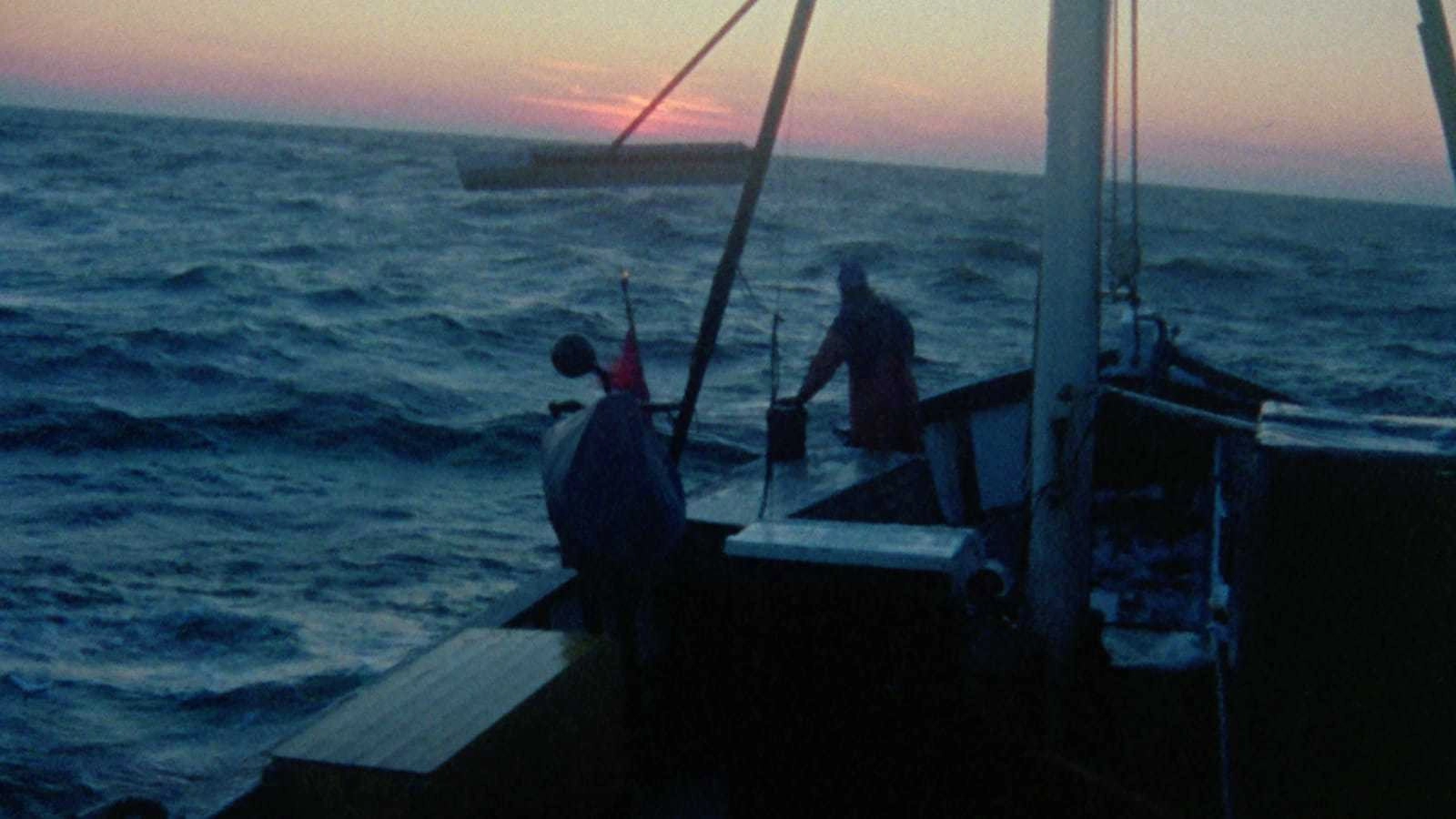 Fårö Document 1979