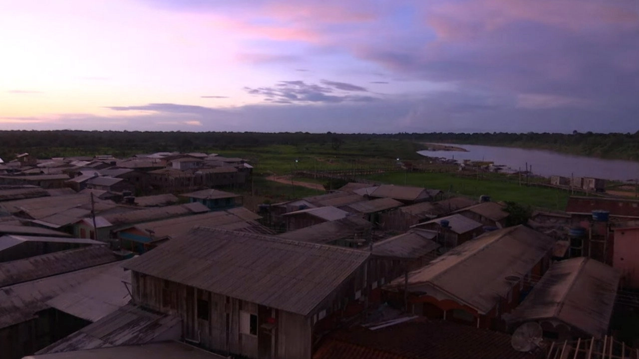 Amazônia: Entre a Vida e a Morte
