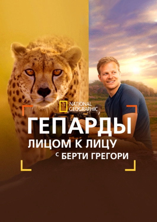 Cheetahs Up Close with Bertie Gregory