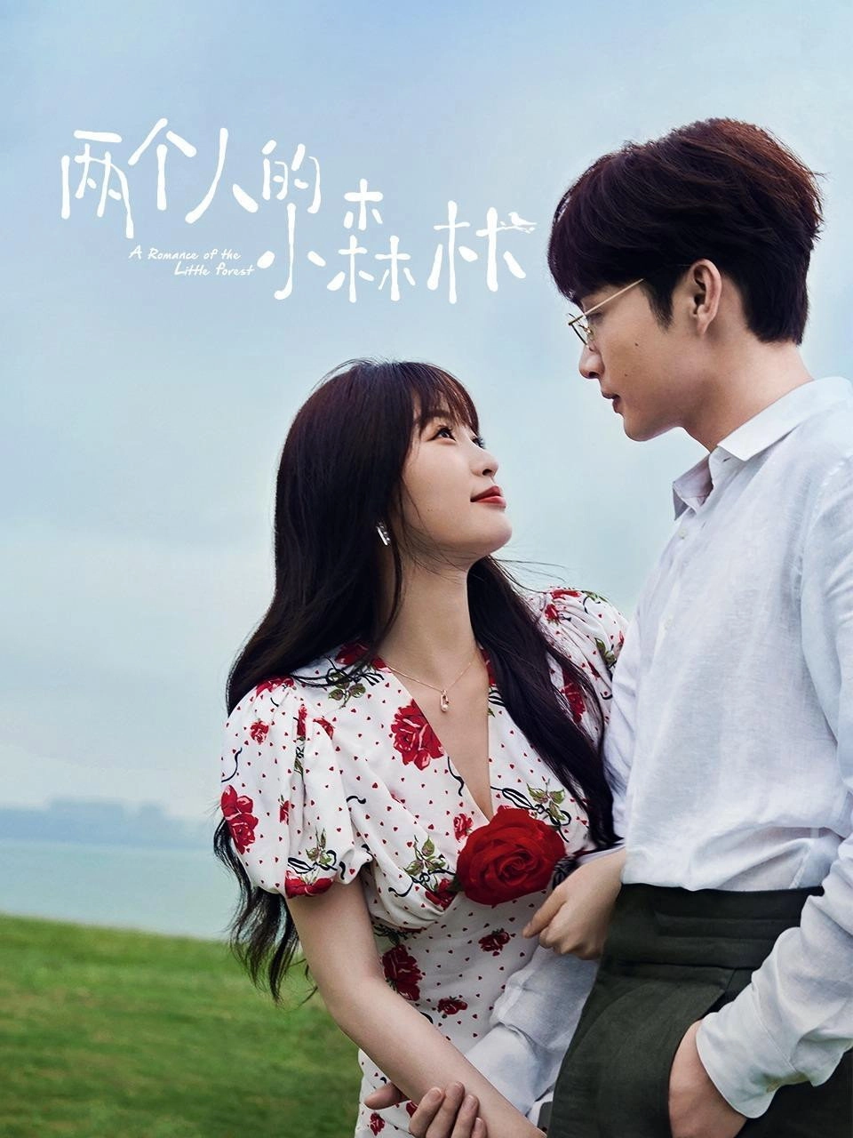 A Romance of the Little Forest