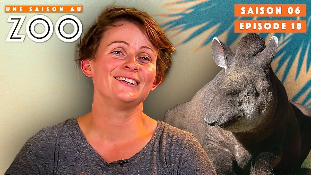 Une saison au zoo
