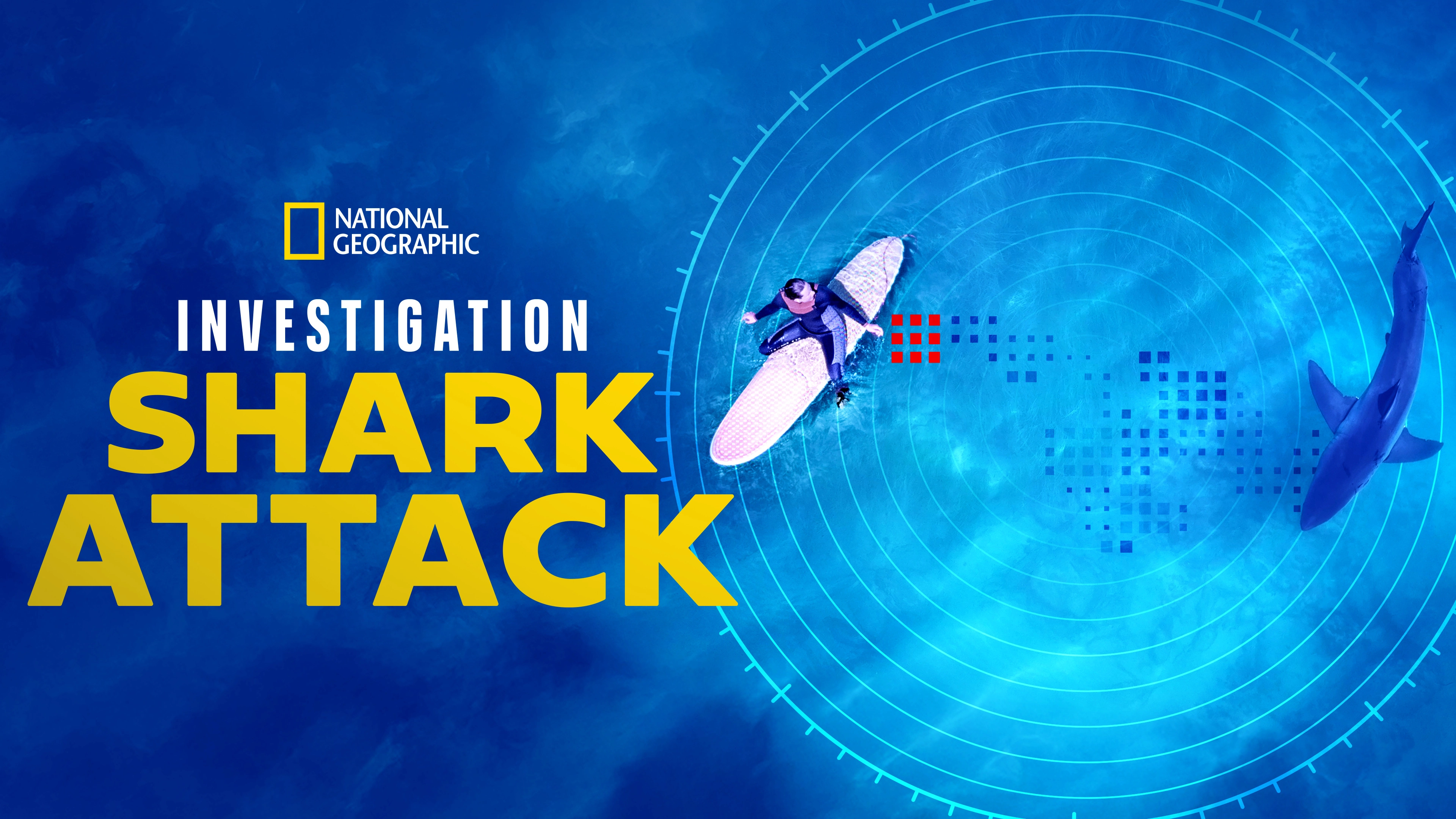 Investigation Shark Attack
