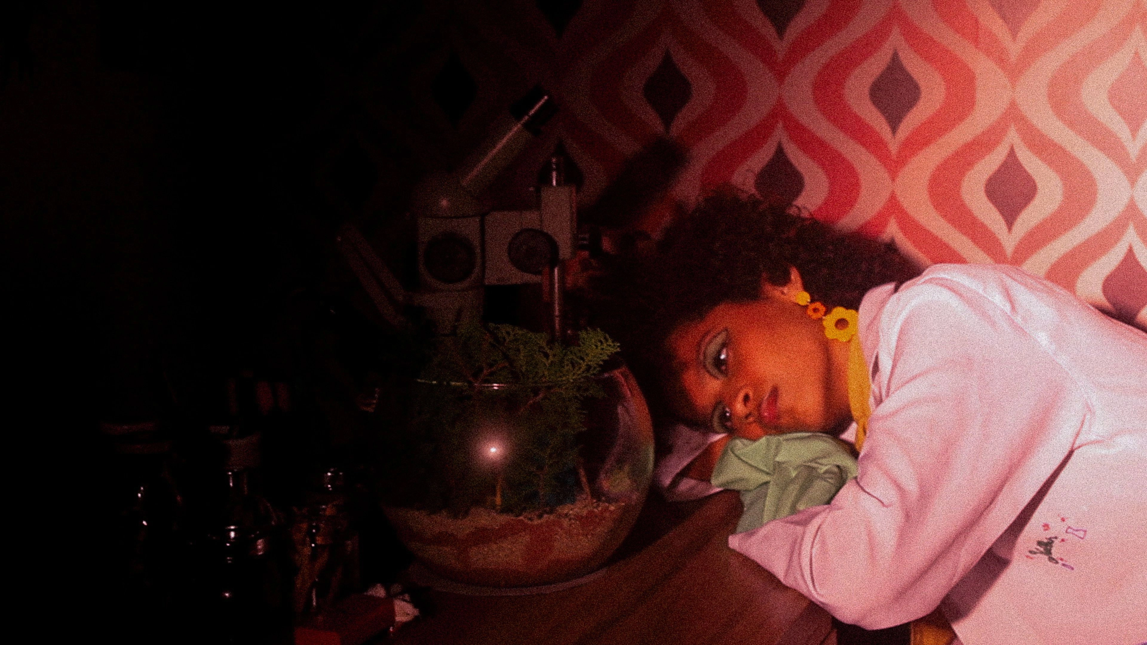 Terrarium