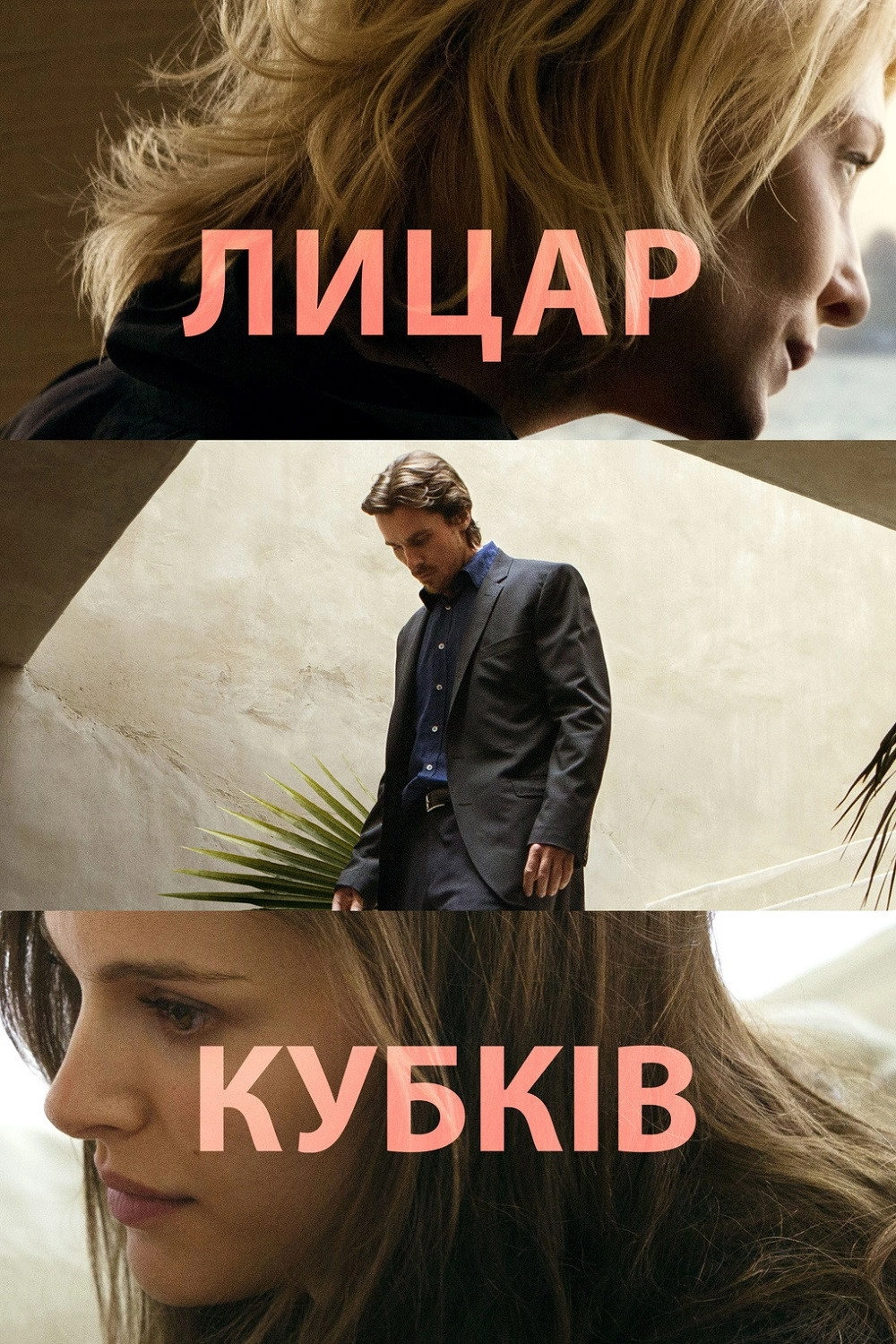 Knight of Cups