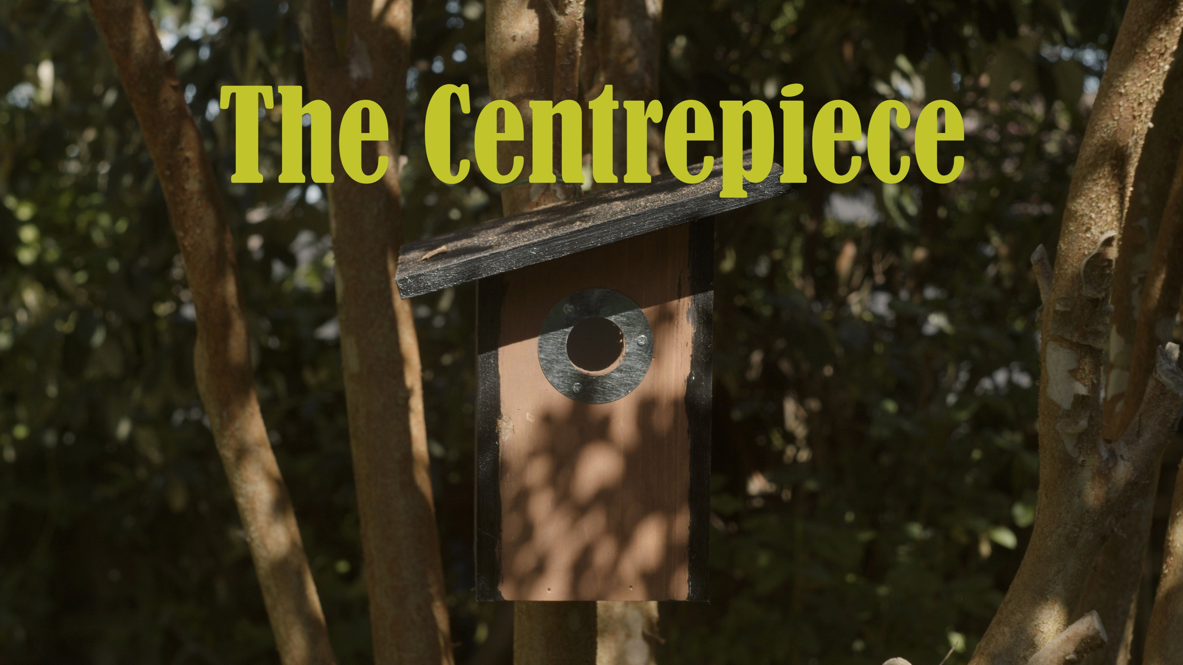 The Centrepiece
