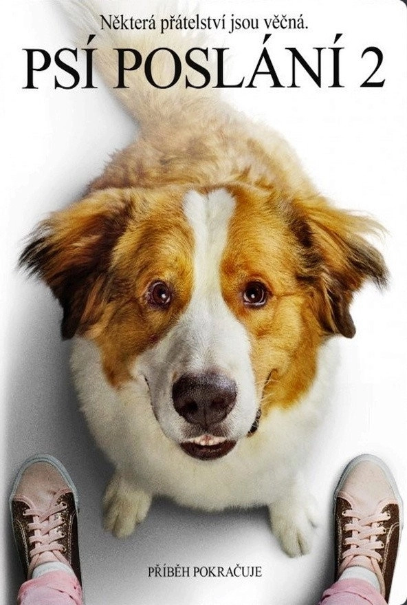 A Dog's Journey