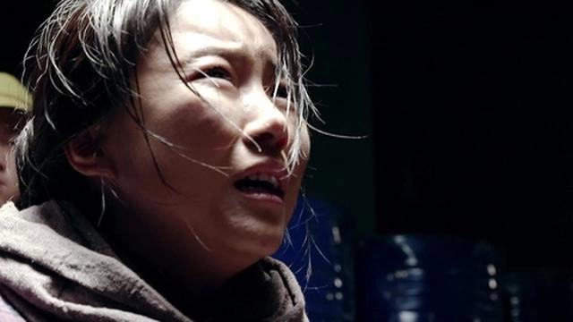 Wang Dahua Revolutionary Career