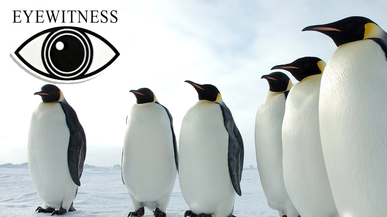 Eyewitness
