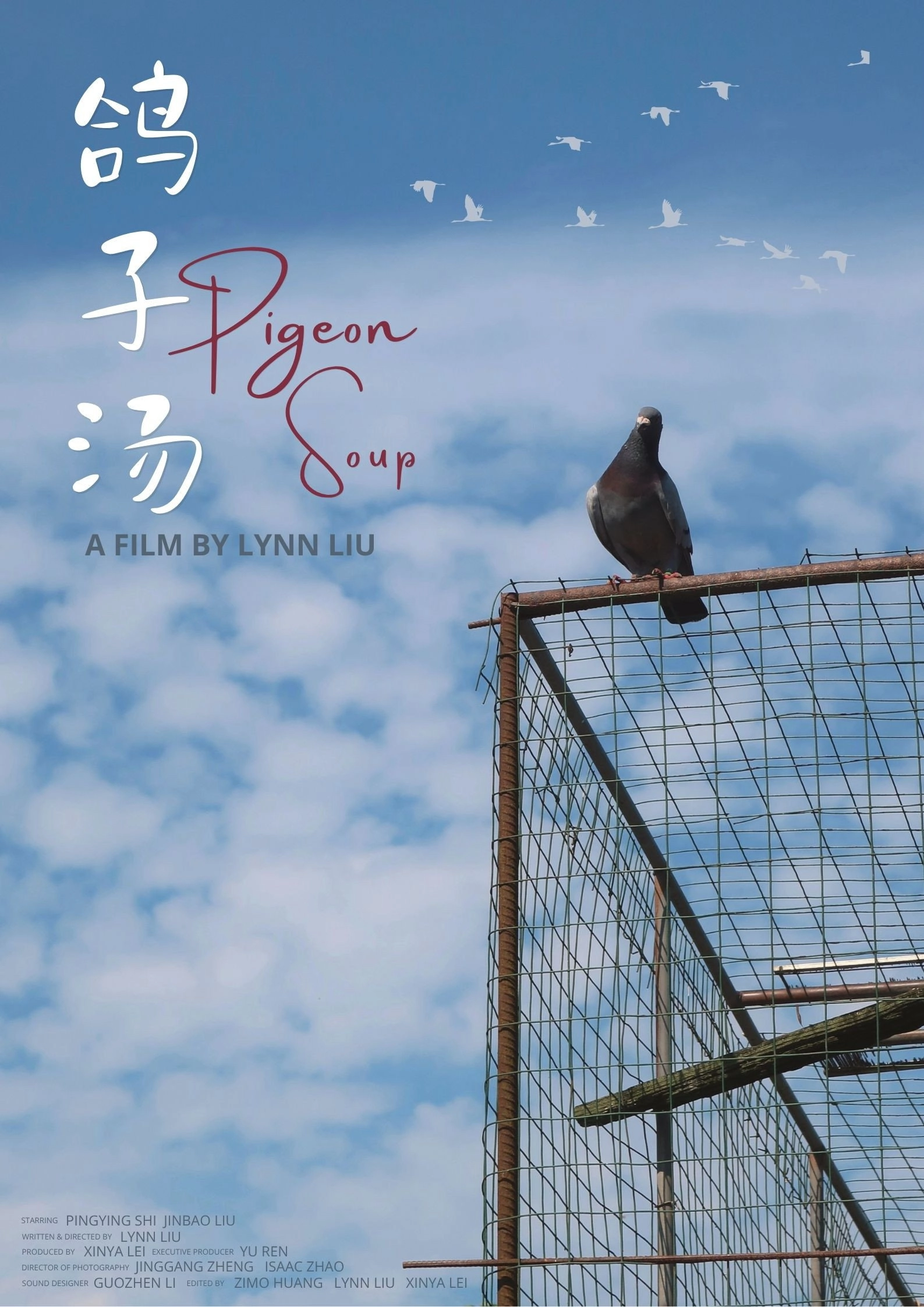 Pigeon Soup