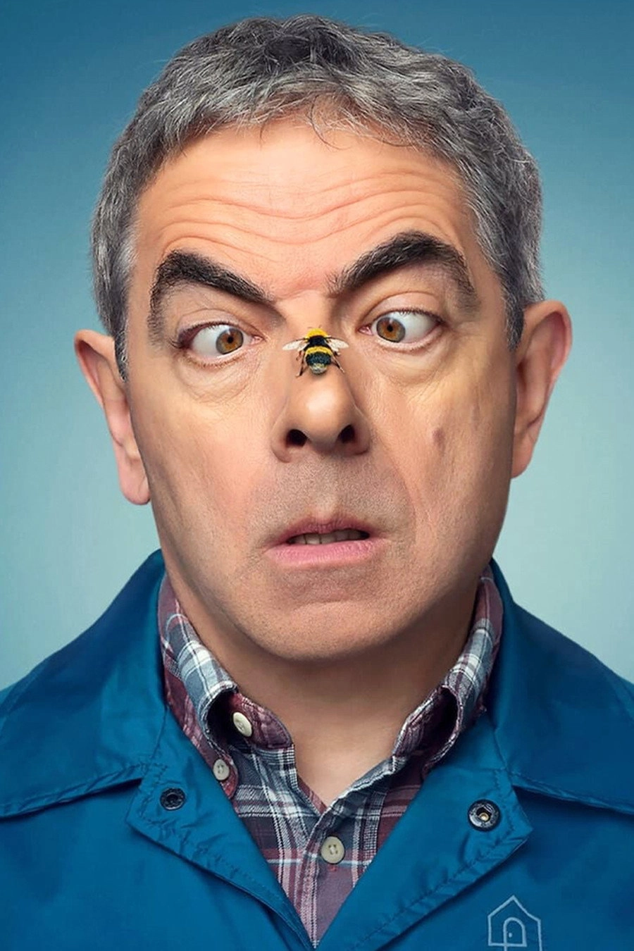 Man vs Bee