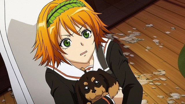 Dog & Scissors