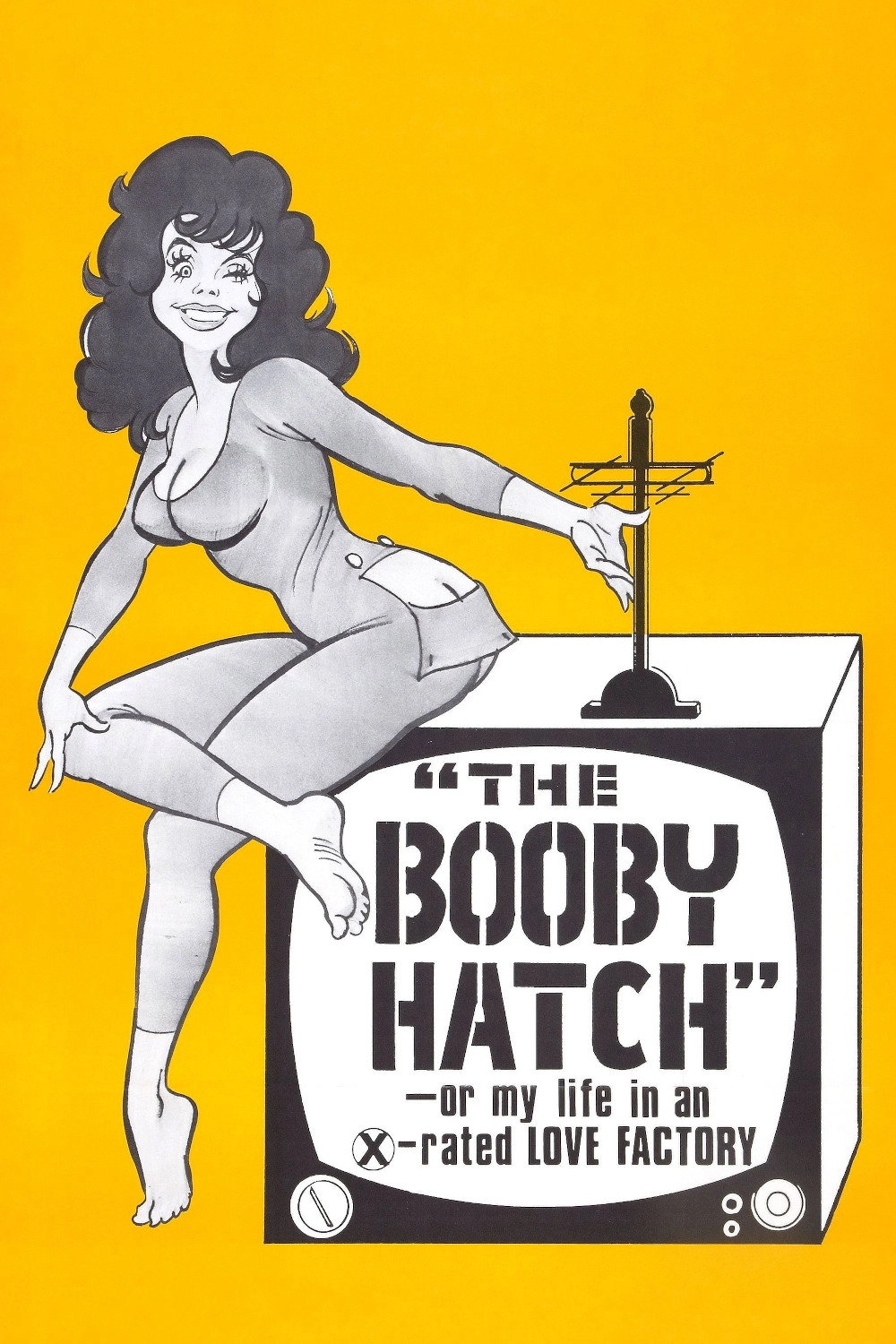 The Booby Hatch