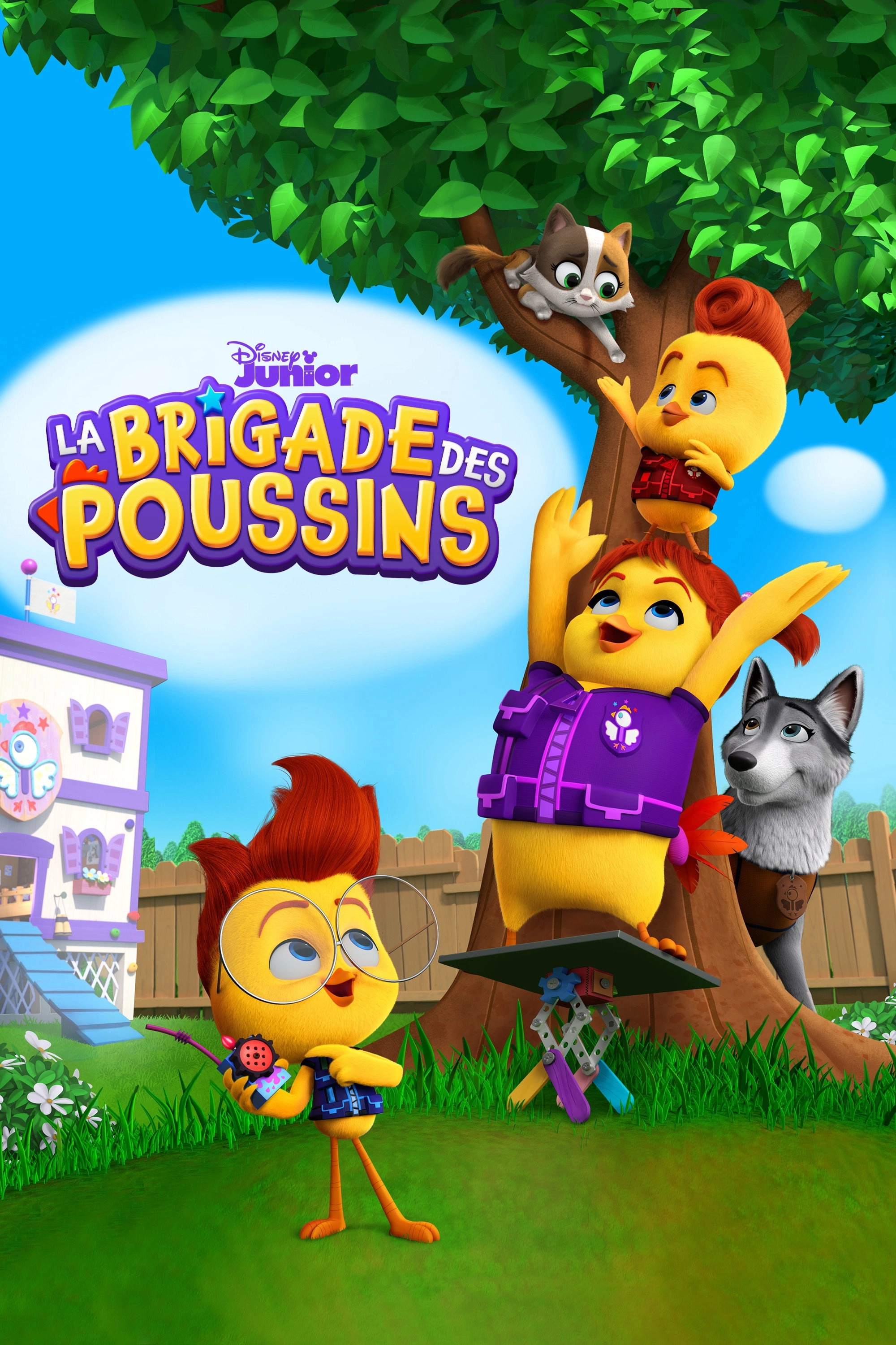 The Chicken Squad