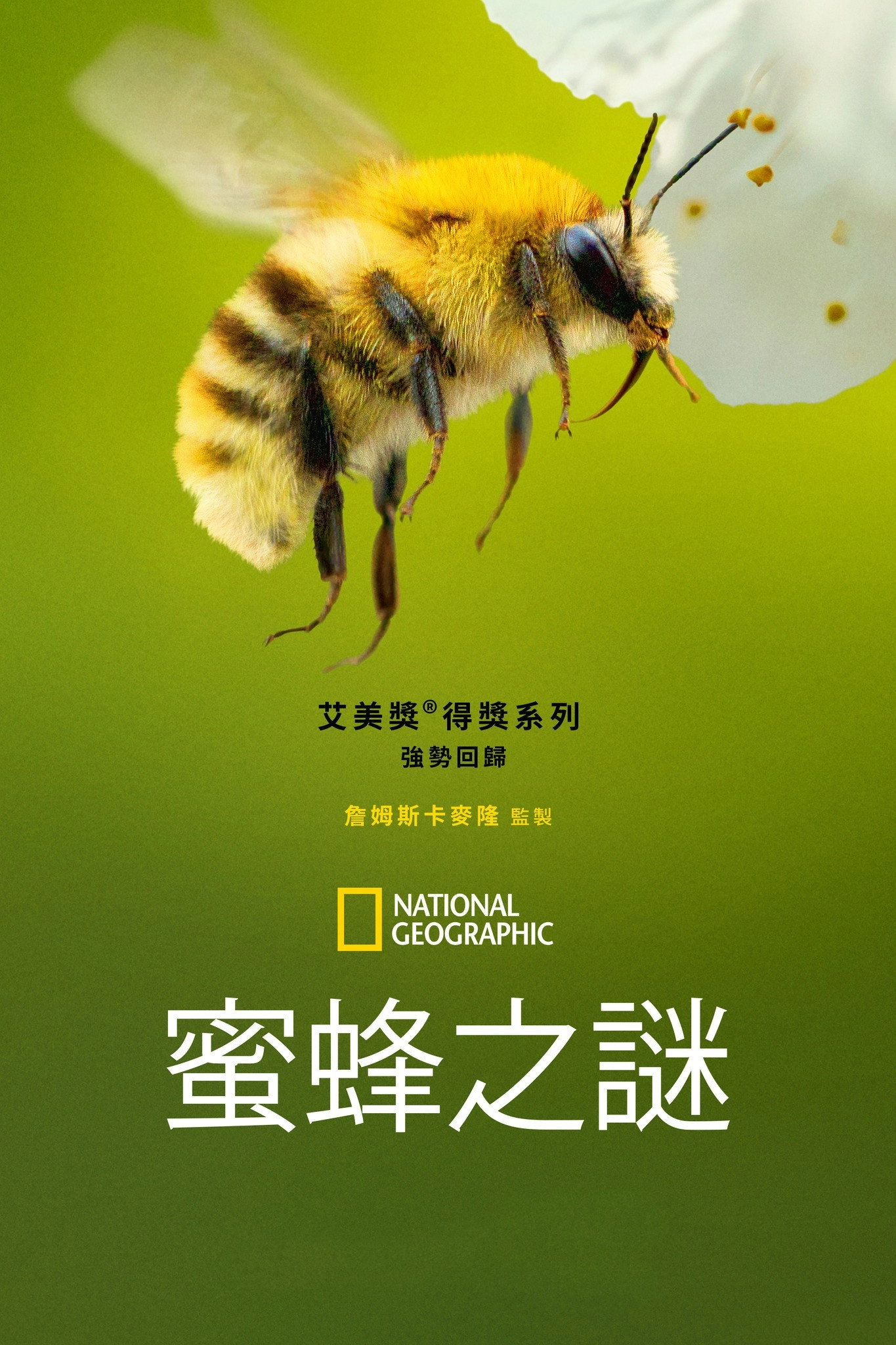 Secrets of the Bees