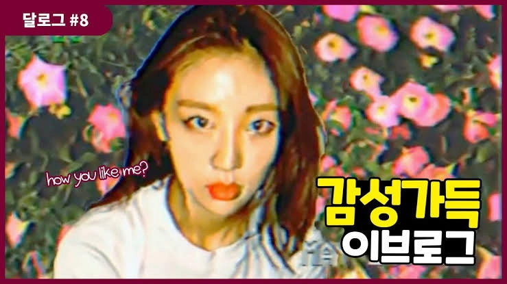 LOONA Log
