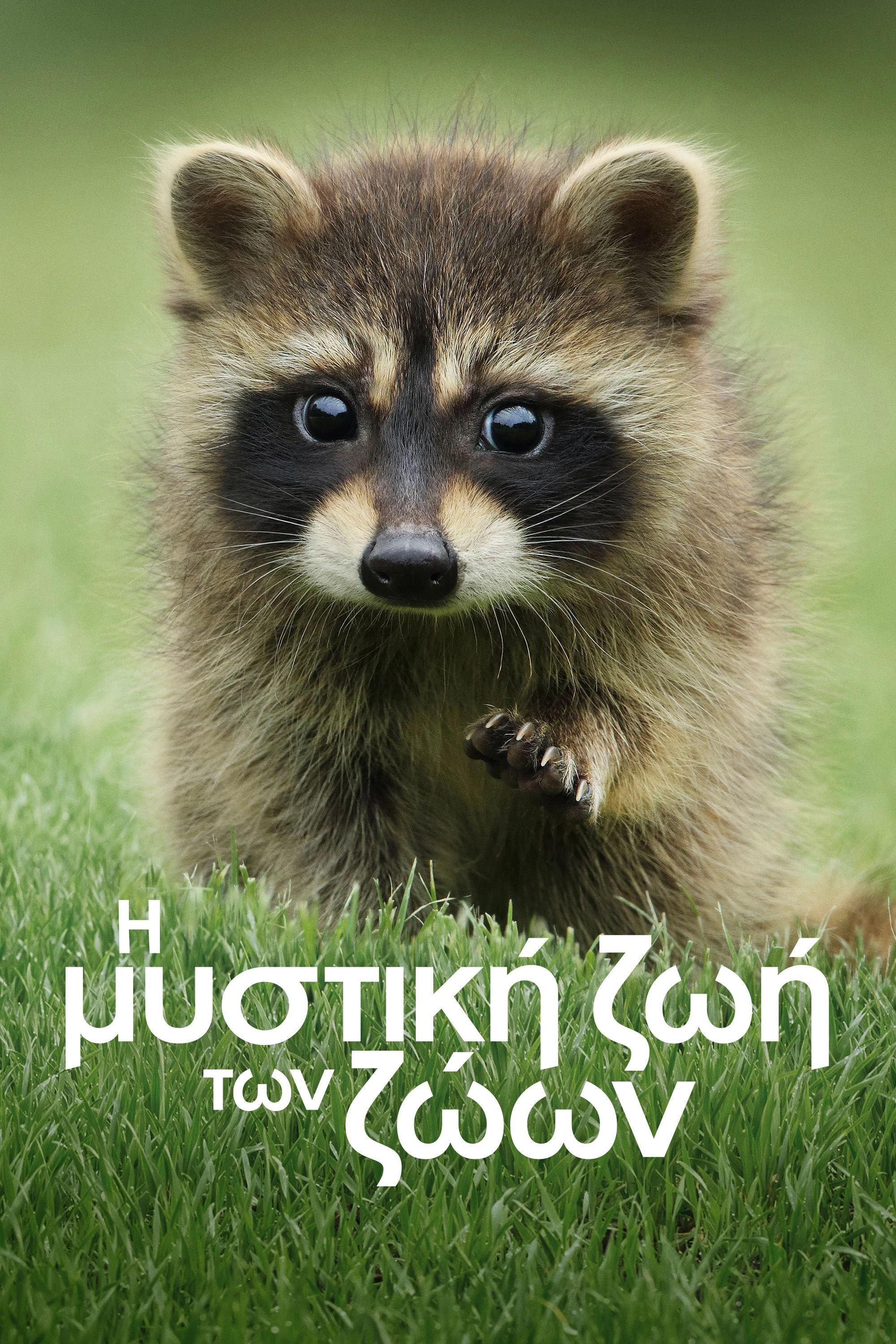 The Secret Lives of Animals